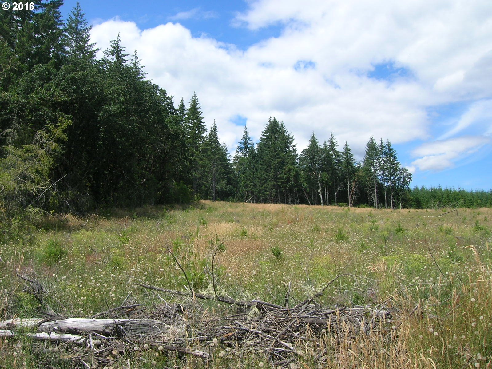Mccain Road Monroe, OR 97456 - Photo 9 of 23 Gallery Image 9