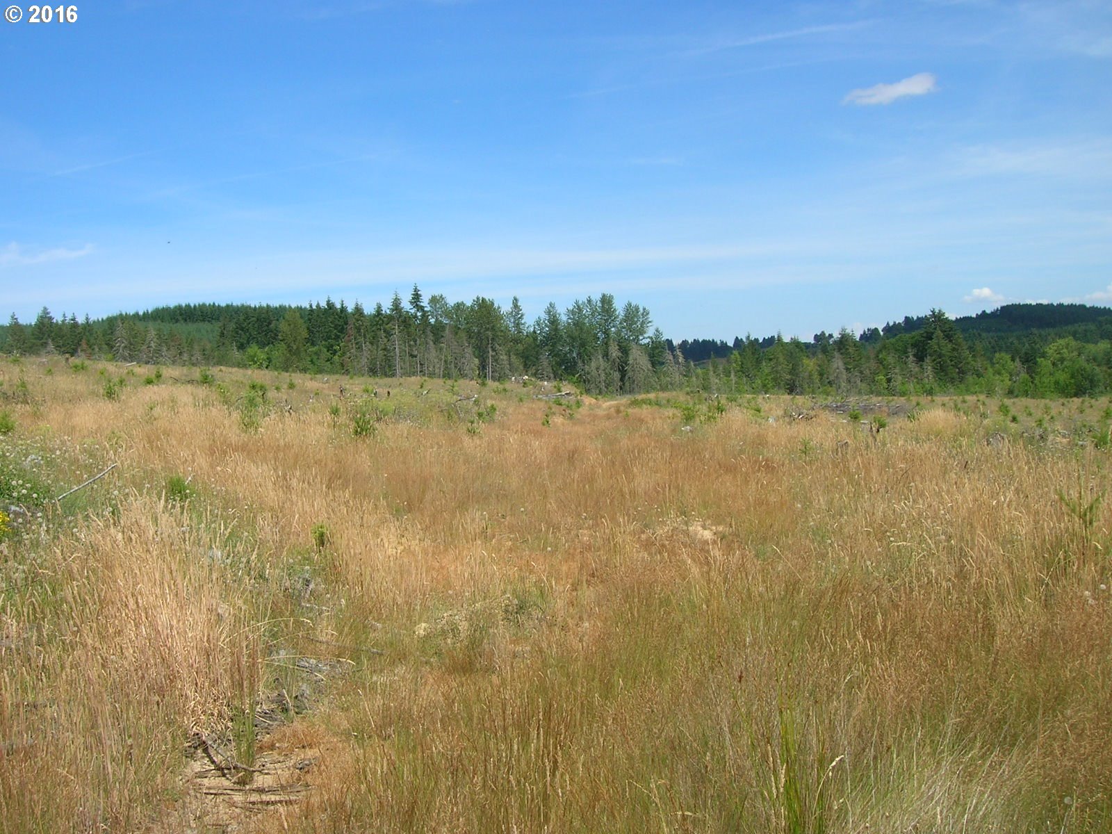 Mccain Road Monroe, OR 97456 - Photo 10 of 23 Gallery Image 10