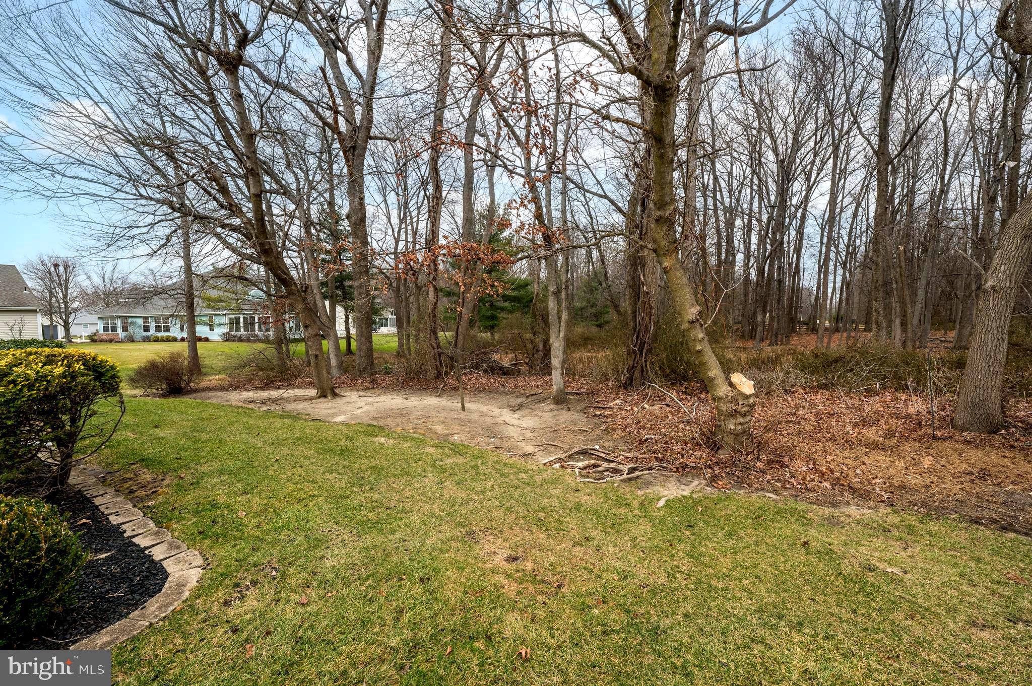 515 Hydrangea Drive Mount Laurel, NJ 08054 - Photo 26 of 36 a view of backyard with green space