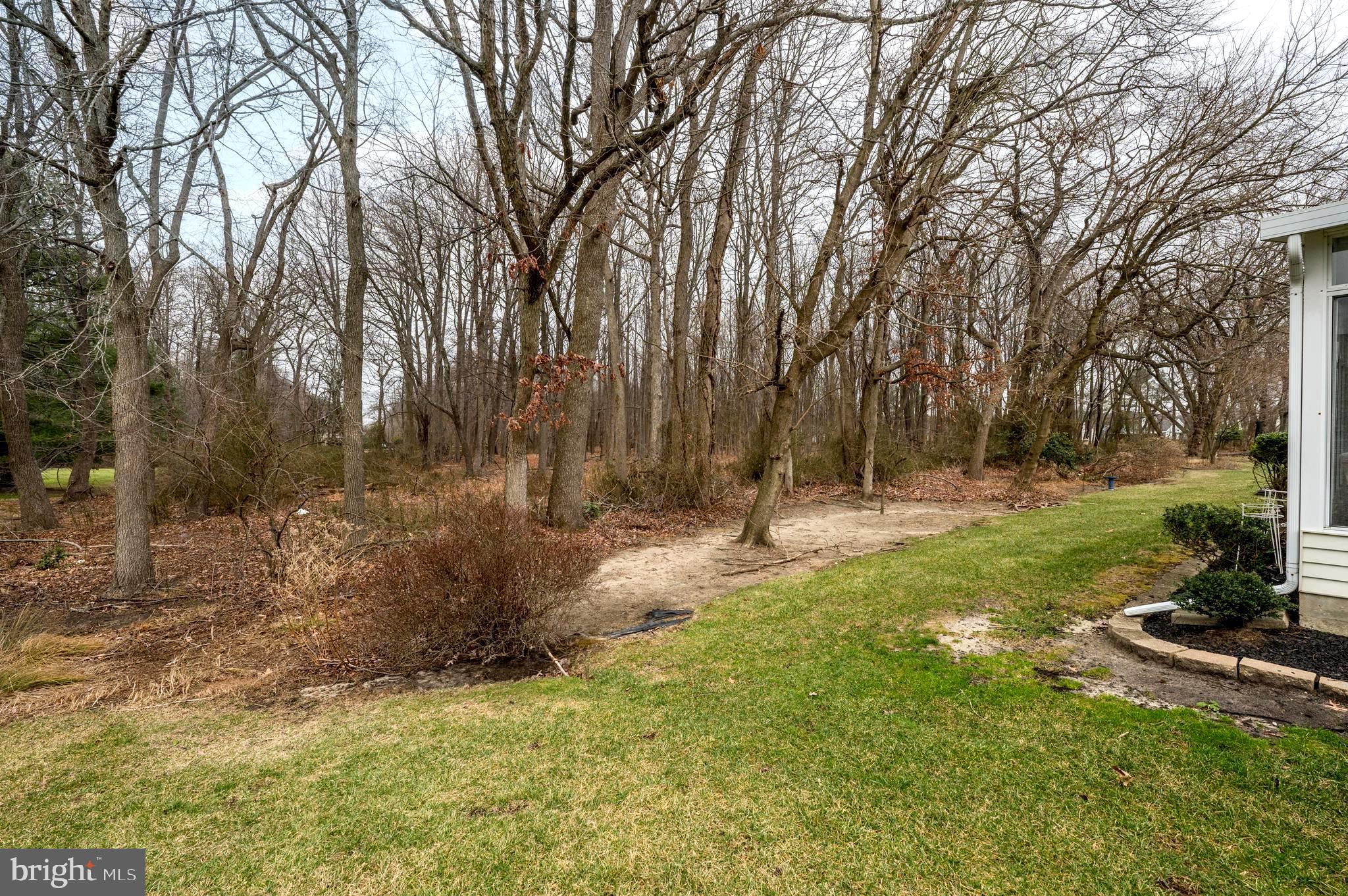 515 Hydrangea Drive Mount Laurel, NJ 08054 - Photo 29 of 36 a view of a tree in a park