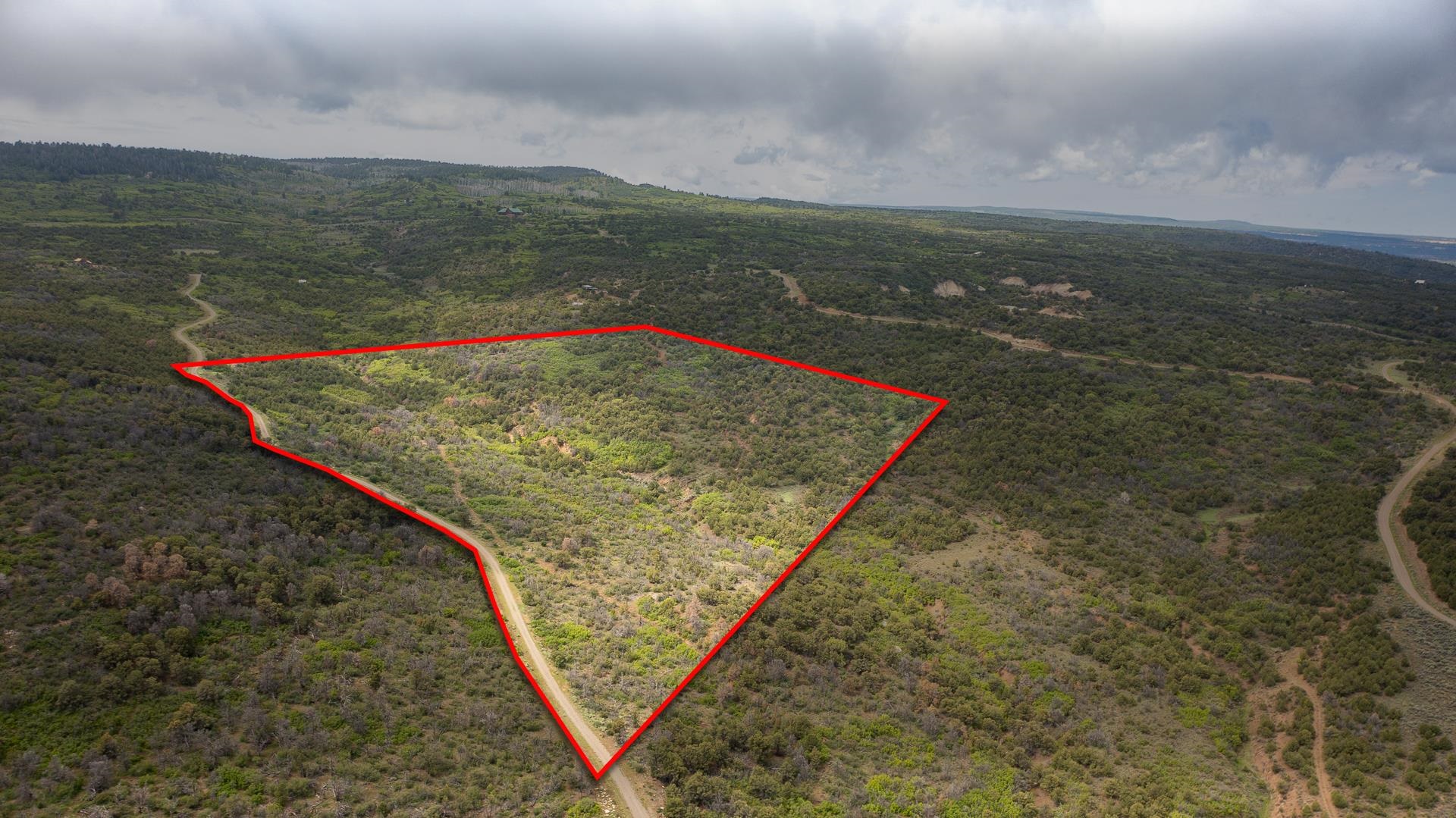 18973 Elk Reserve Road Glade Park, CO 81523 - Photo 1 of 21 a view of a yard