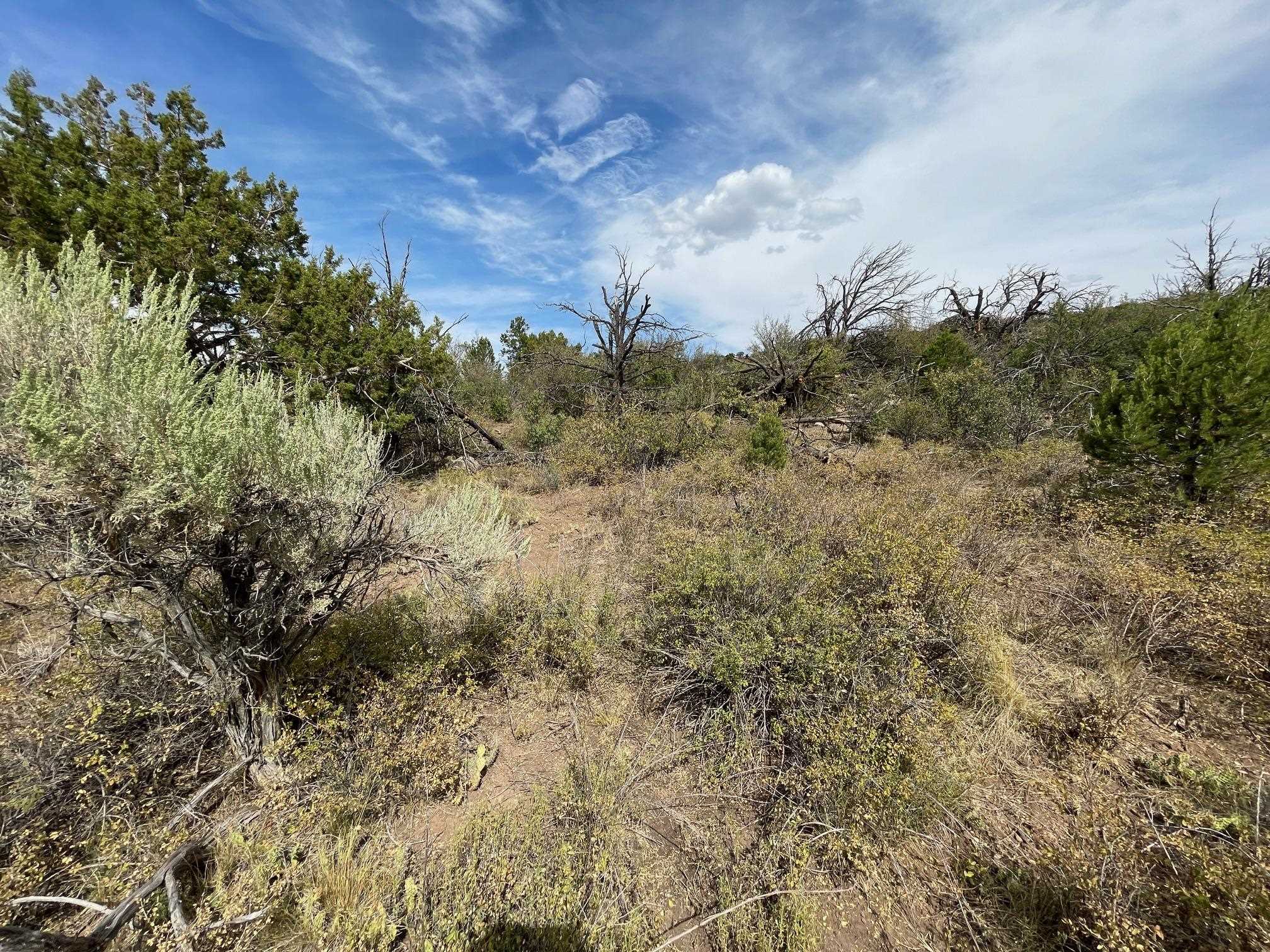 18973 Elk Reserve Road Glade Park, CO 81523 - Photo 13 of 21 a view of a field