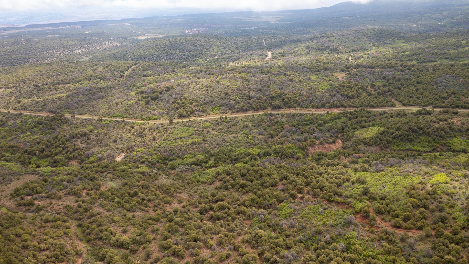 18973 Elk Reserve Road Glade Park, CO 81523 - Photo 14 of 21