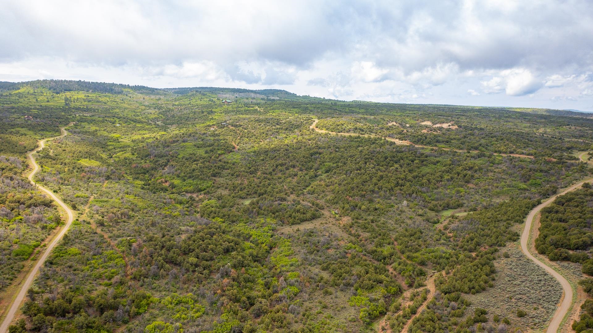 18973 Elk Reserve Road Glade Park, CO 81523 - Photo 15 of 21 a view of an ocean