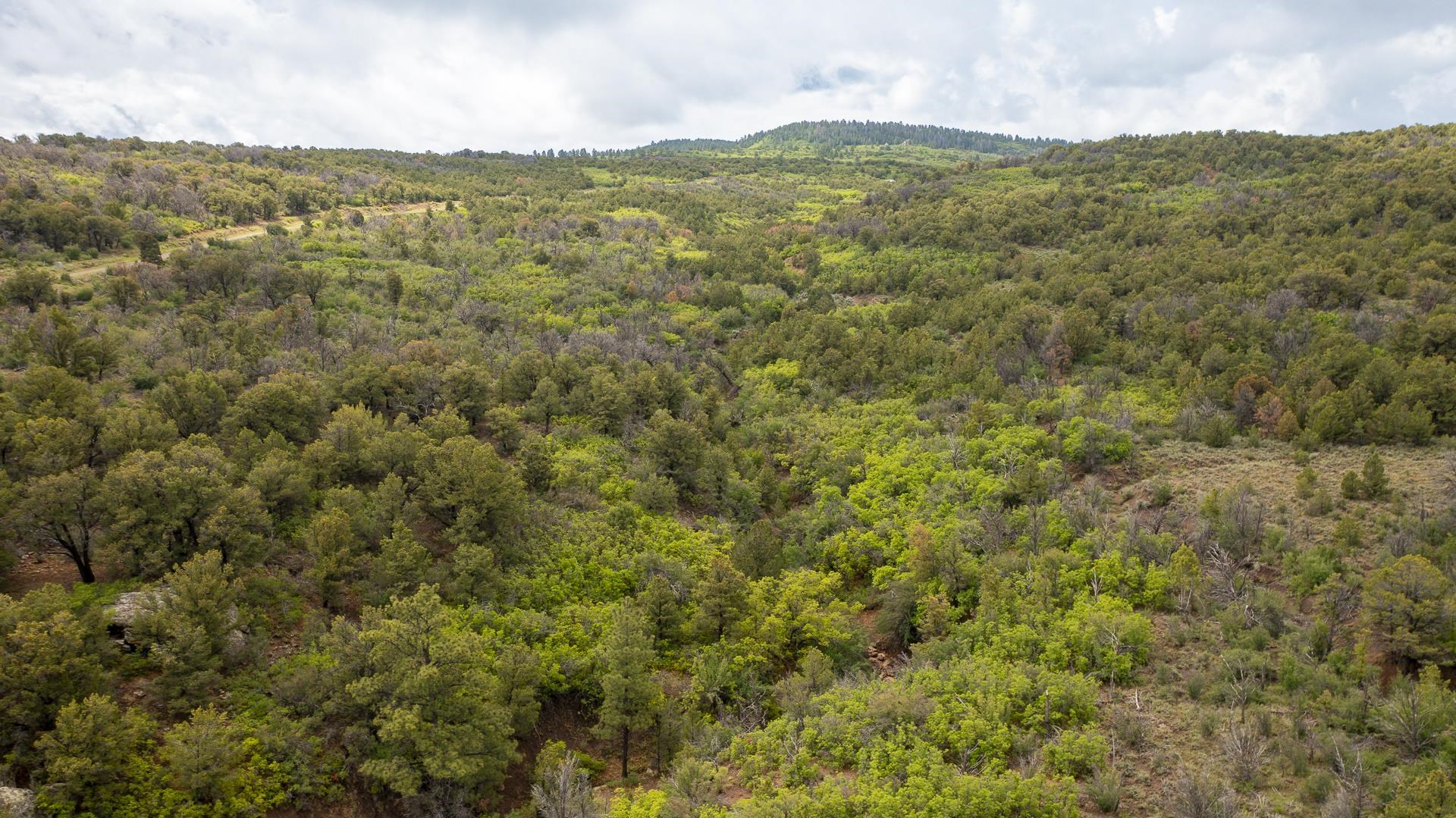 18973 Elk Reserve Road Glade Park, CO 81523 - Photo 16 of 21 a view of a field with mountains in the background