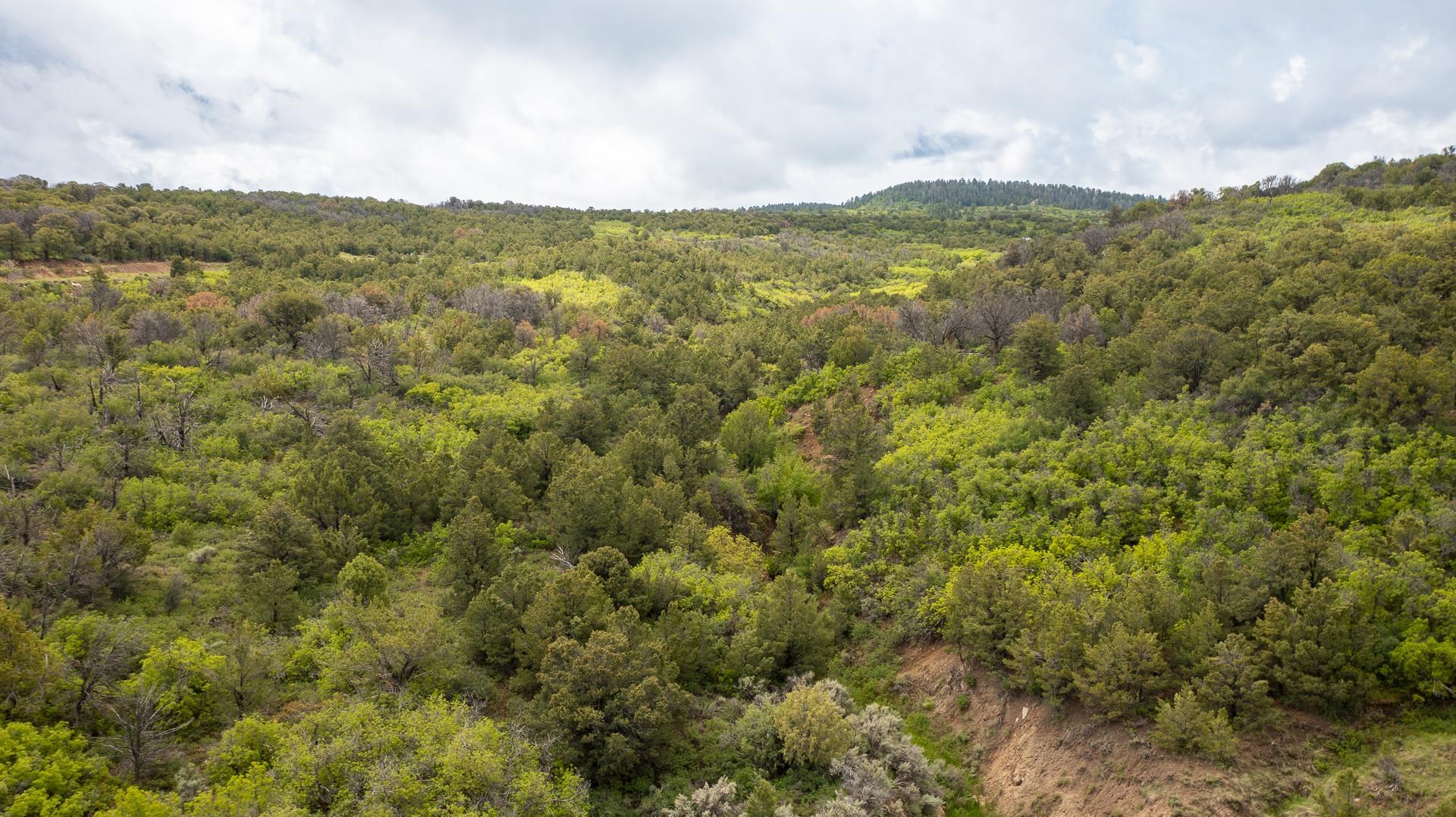 18973 Elk Reserve Road Glade Park, CO 81523 - Photo 17 of 21 a view of a mountain