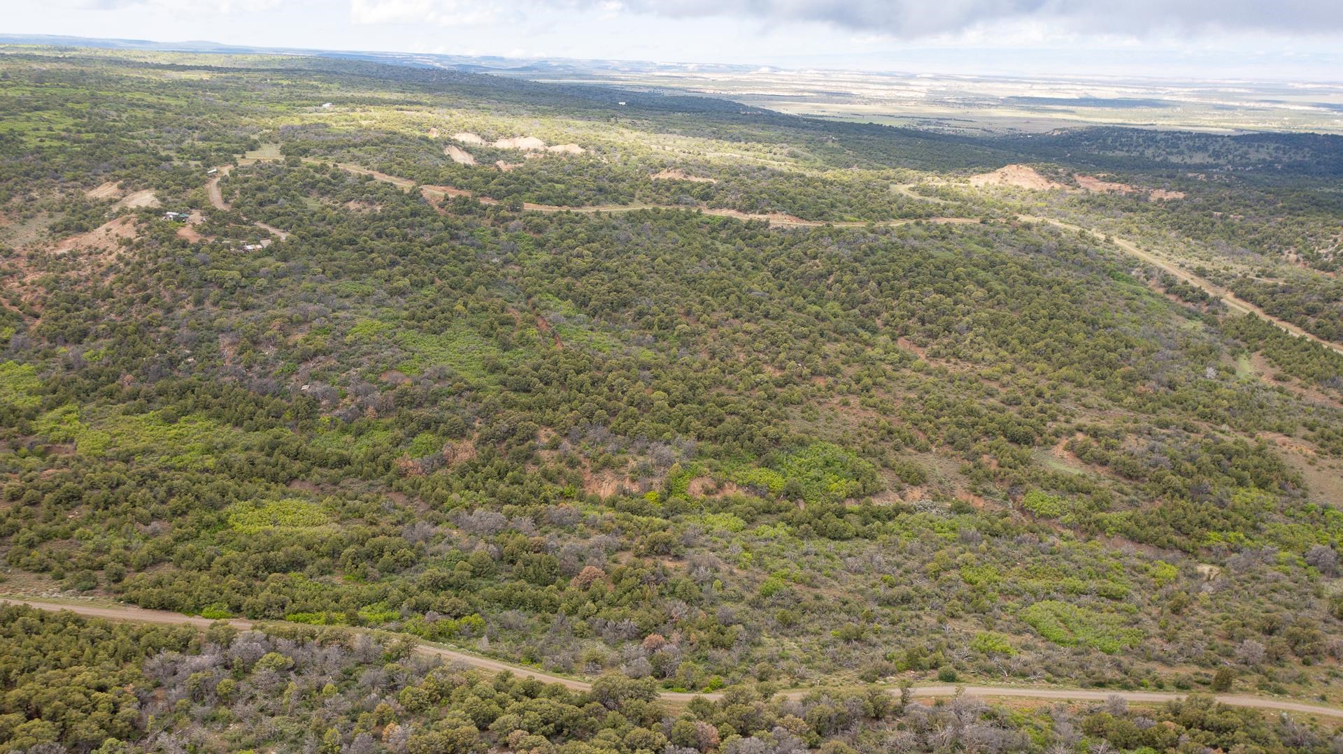 18973 Elk Reserve Road Glade Park, CO 81523 - Photo 19 of 21 a view of an ocean