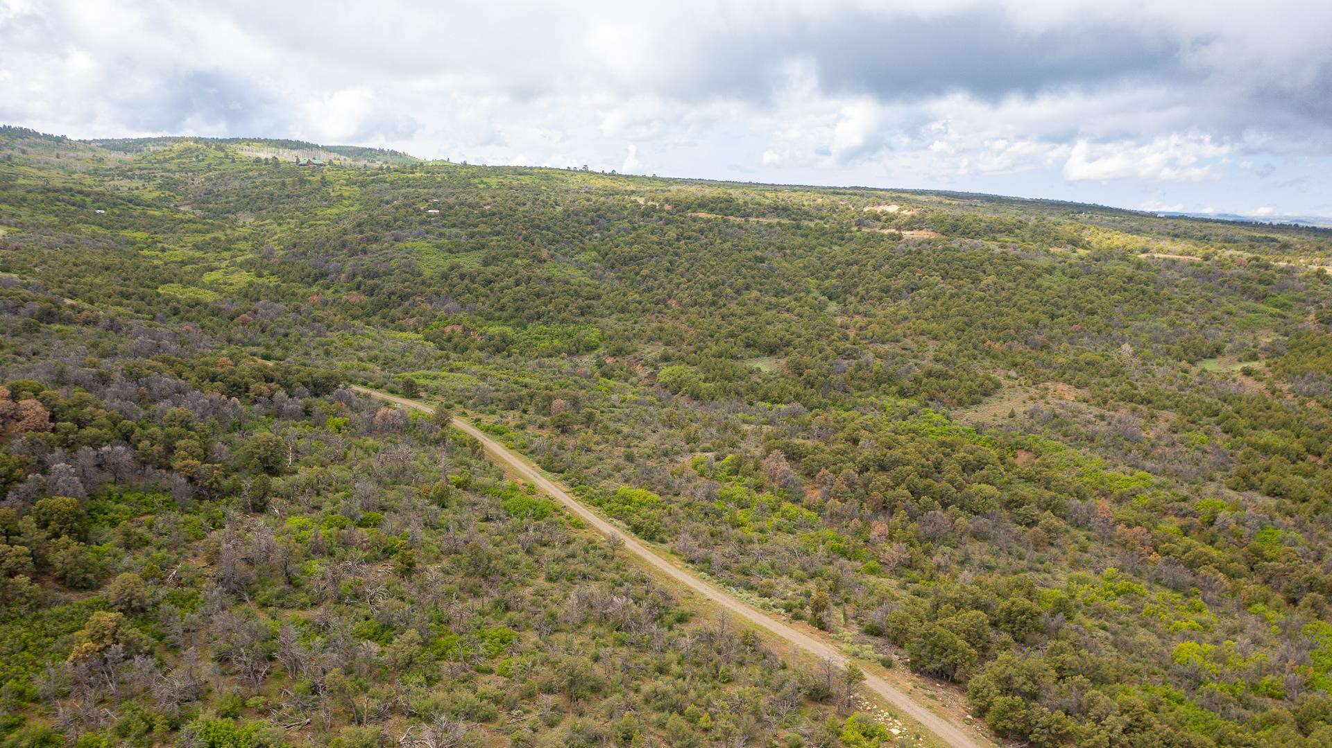 18973 Elk Reserve Road Glade Park, CO 81523 - Photo 20 of 21 a view of an ocean