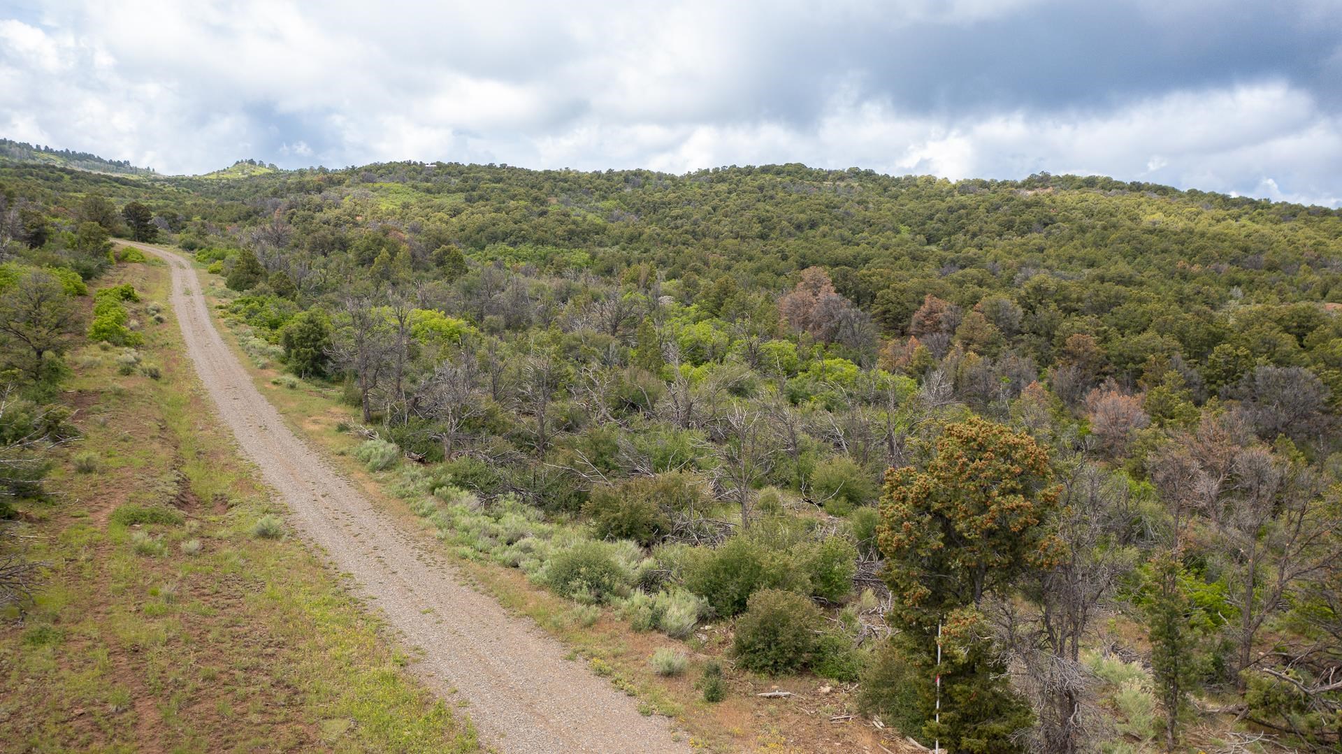 18973 Elk Reserve Road Glade Park, CO 81523 - Photo 21 of 21 a view of a city with lush green forest