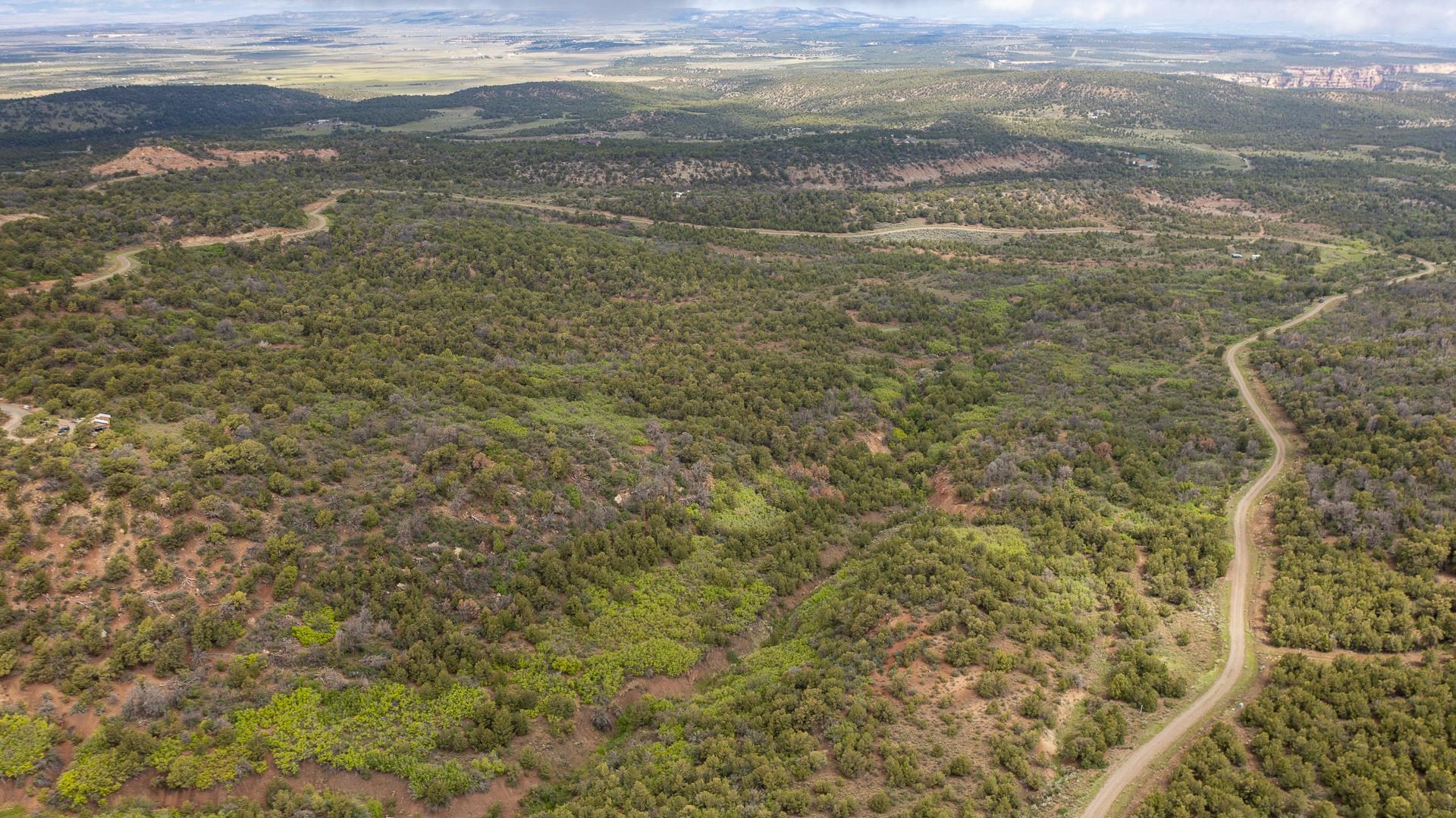 18973 Elk Reserve Road Glade Park, CO 81523 - Photo 6 of 21 a view of an ocean