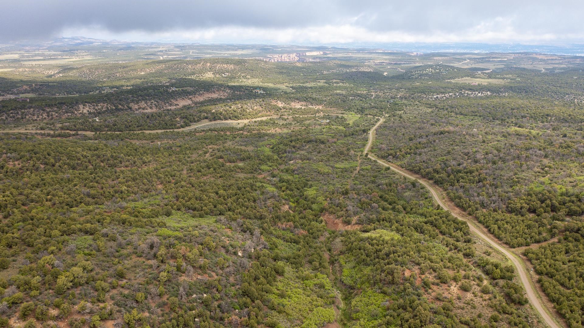 18973 Elk Reserve Road Glade Park, CO 81523 - Photo 7 of 21 a view of city and ocean