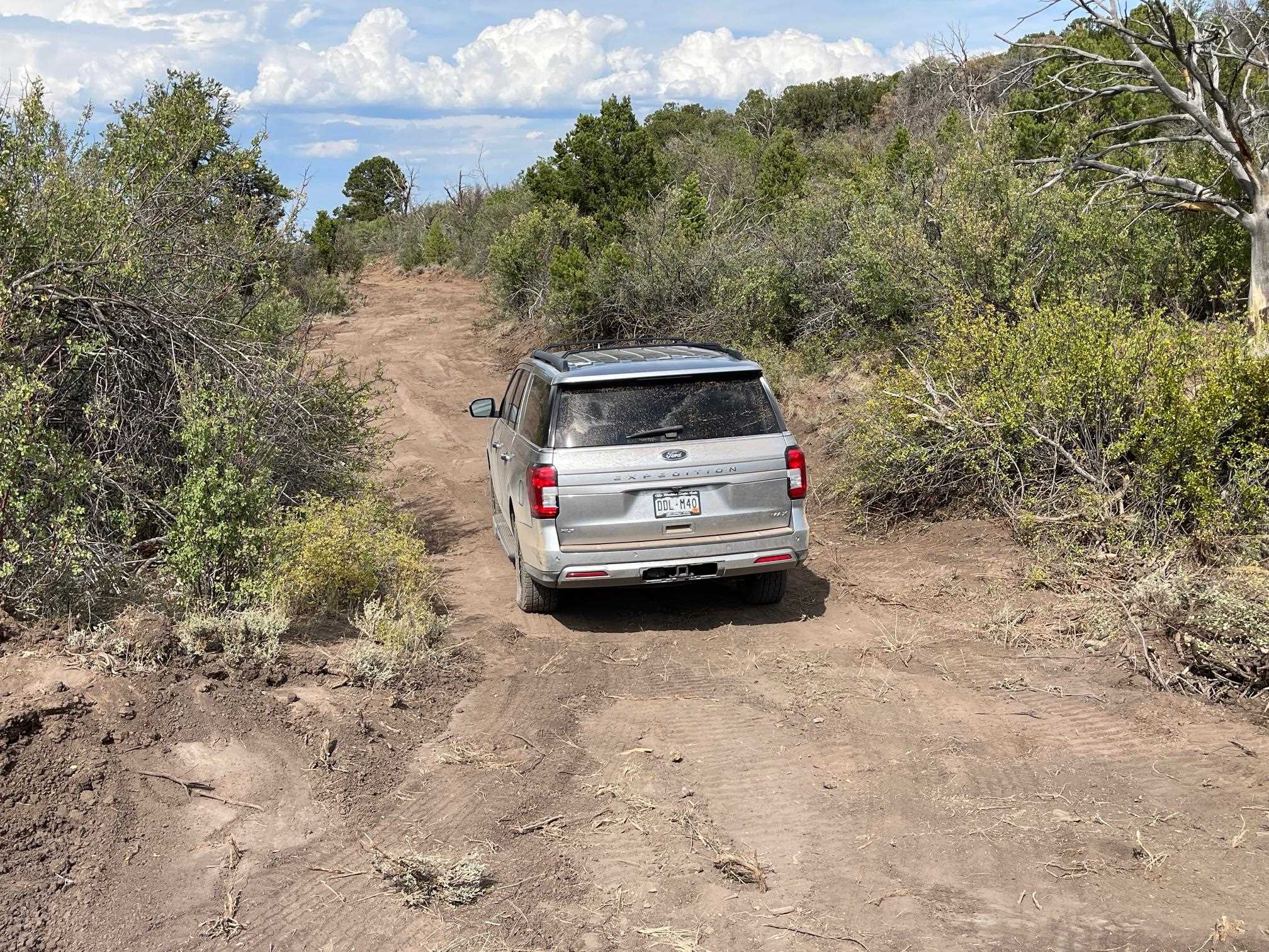 18973 Elk Reserve Road Glade Park, CO 81523 - Photo 10 of 21 a car parked in the side of a forest