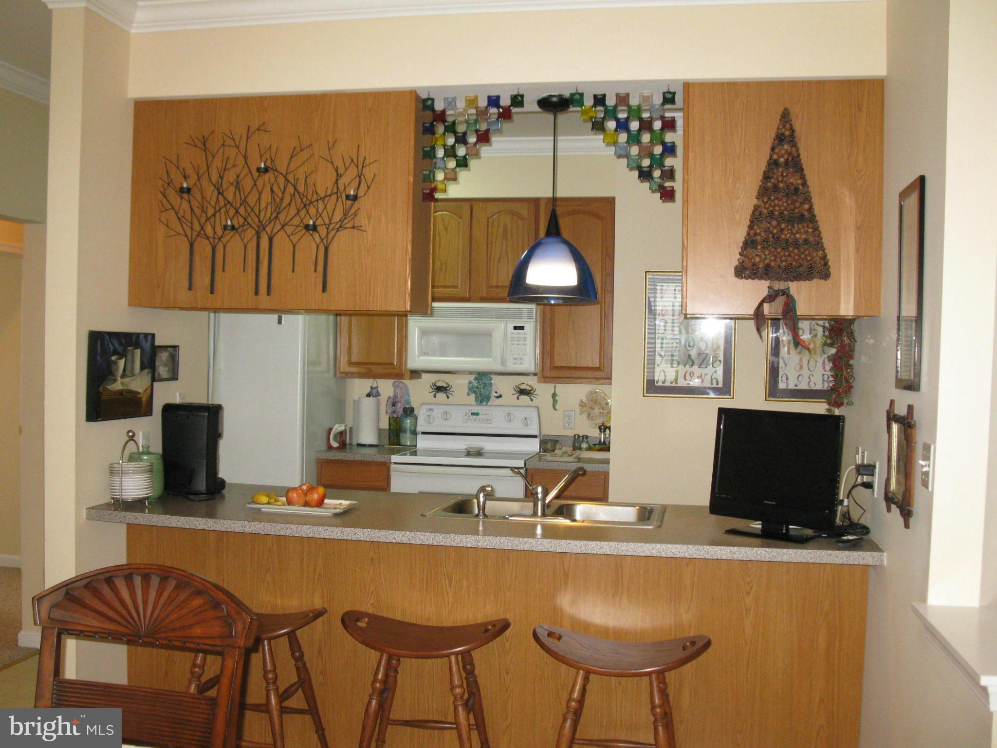 106 Ridge Run Road, Unit 22 North East, MD 21901 - Photo 10 of 29 Kitchen