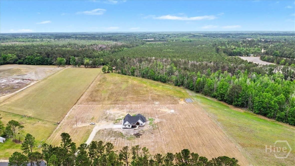 10143 Highway 80 Brooklet, GA 30415 - Photo 41 of 49