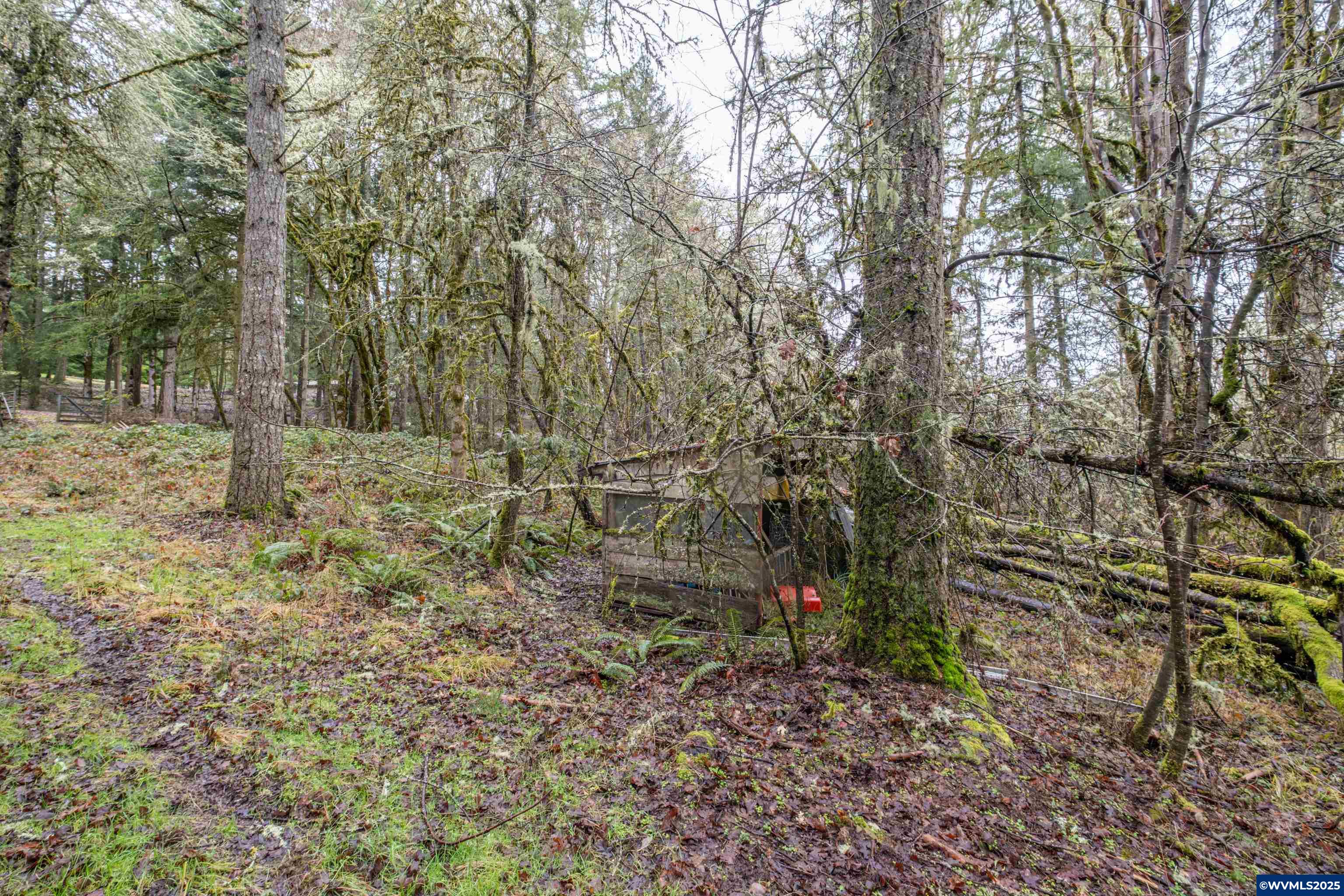 Pineway (lot 2200) Road Lebanon, OR 97355 - Photo 8 of 17 Gallery Image 8