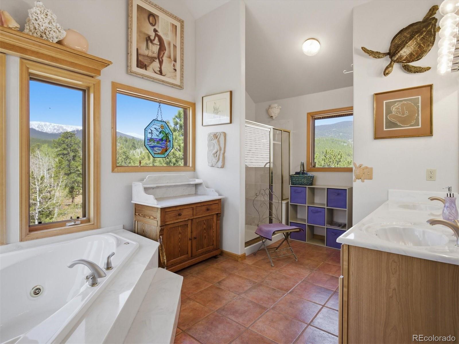 232 Highlands Drive Bailey, CO 80421 - Photo 31 of 50