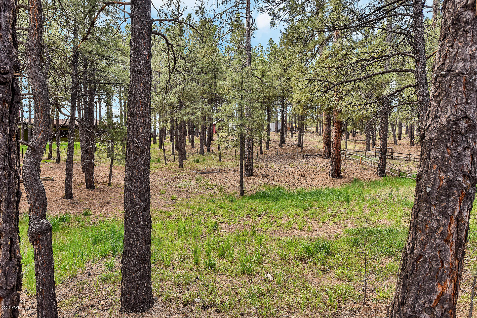 4516 Kathy Road Flagstaff, AZ 86005 - Photo 1 of 1 Primary Listing Photo