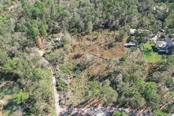 a view of a tree with a yard