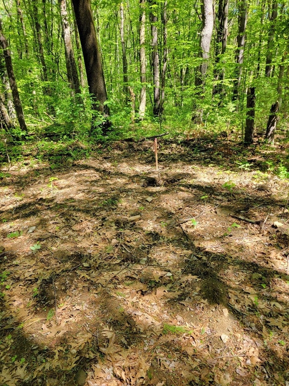 Lot 5 Daniels Road Dudley, MA 01571 - Photo 5 of 8