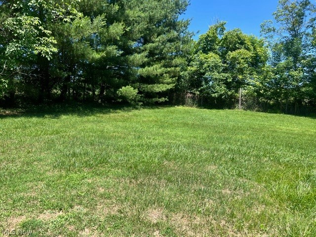2860 Run-A-Round Road Junction City, OH 43748 - Photo 22 of 22 View of yard