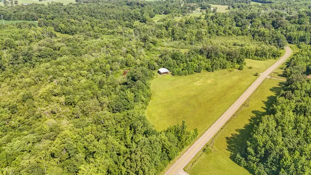 a view of a yard with two trees in front of it
