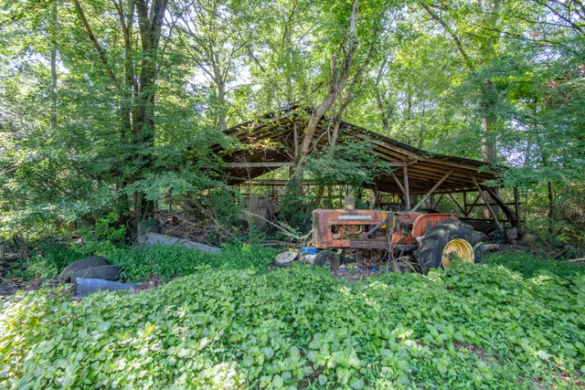 a view of a big yard