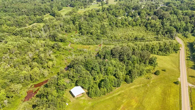 a view of a tree in a yard
