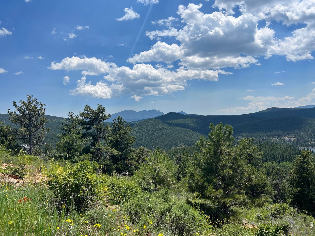 1182 Ridge Road Nederland, CO 80466 - Photo 10 of 24 Gallery Image 10