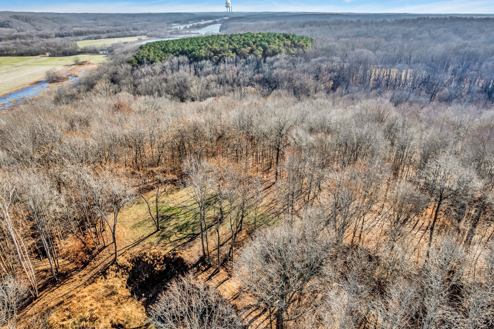 296 South Skunk Hollow Road Dover, TN 37058 - Photo 44 of 96