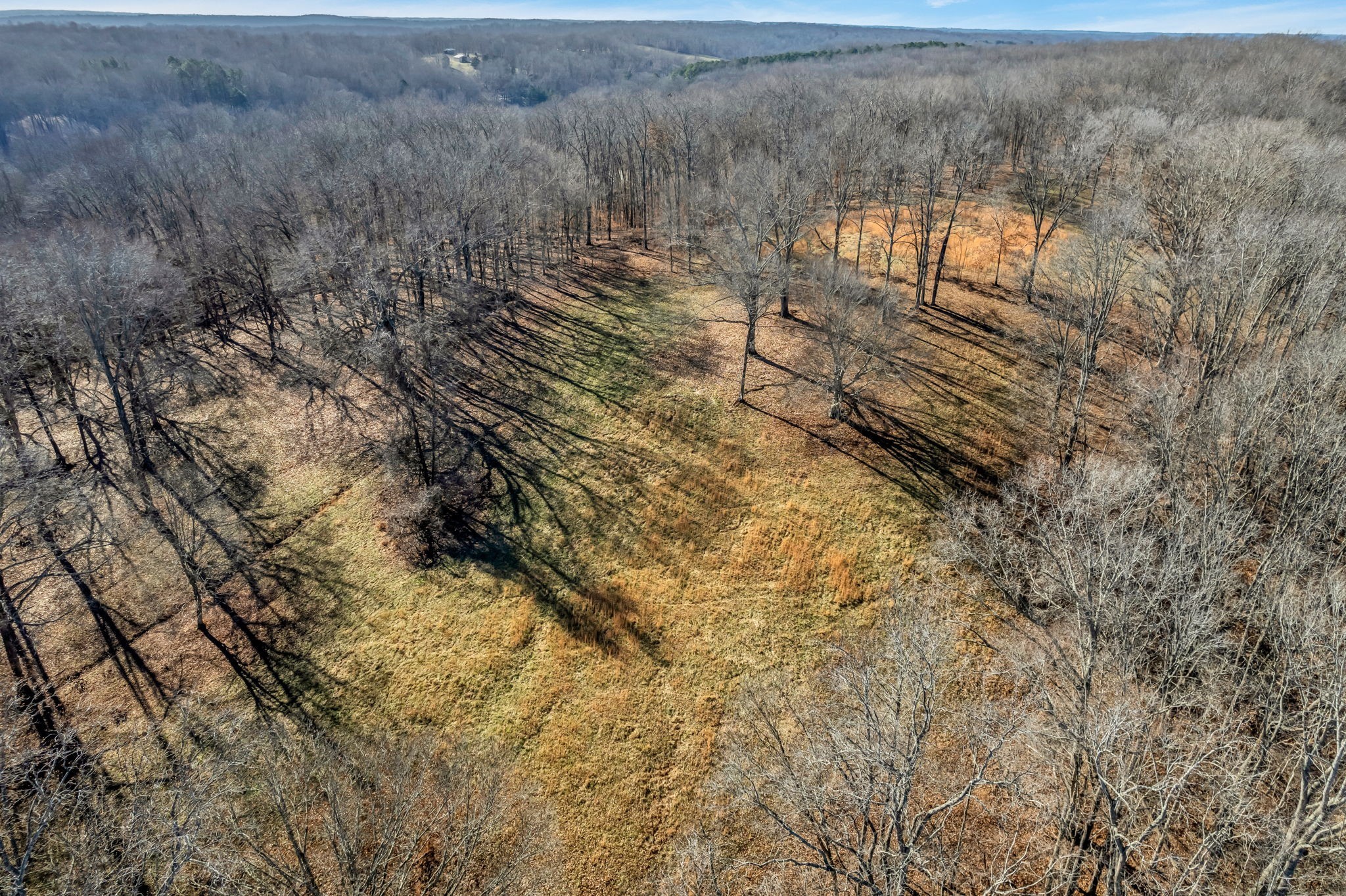 296 South Skunk Hollow Road Dover, TN 37058 - Photo 45 of 96