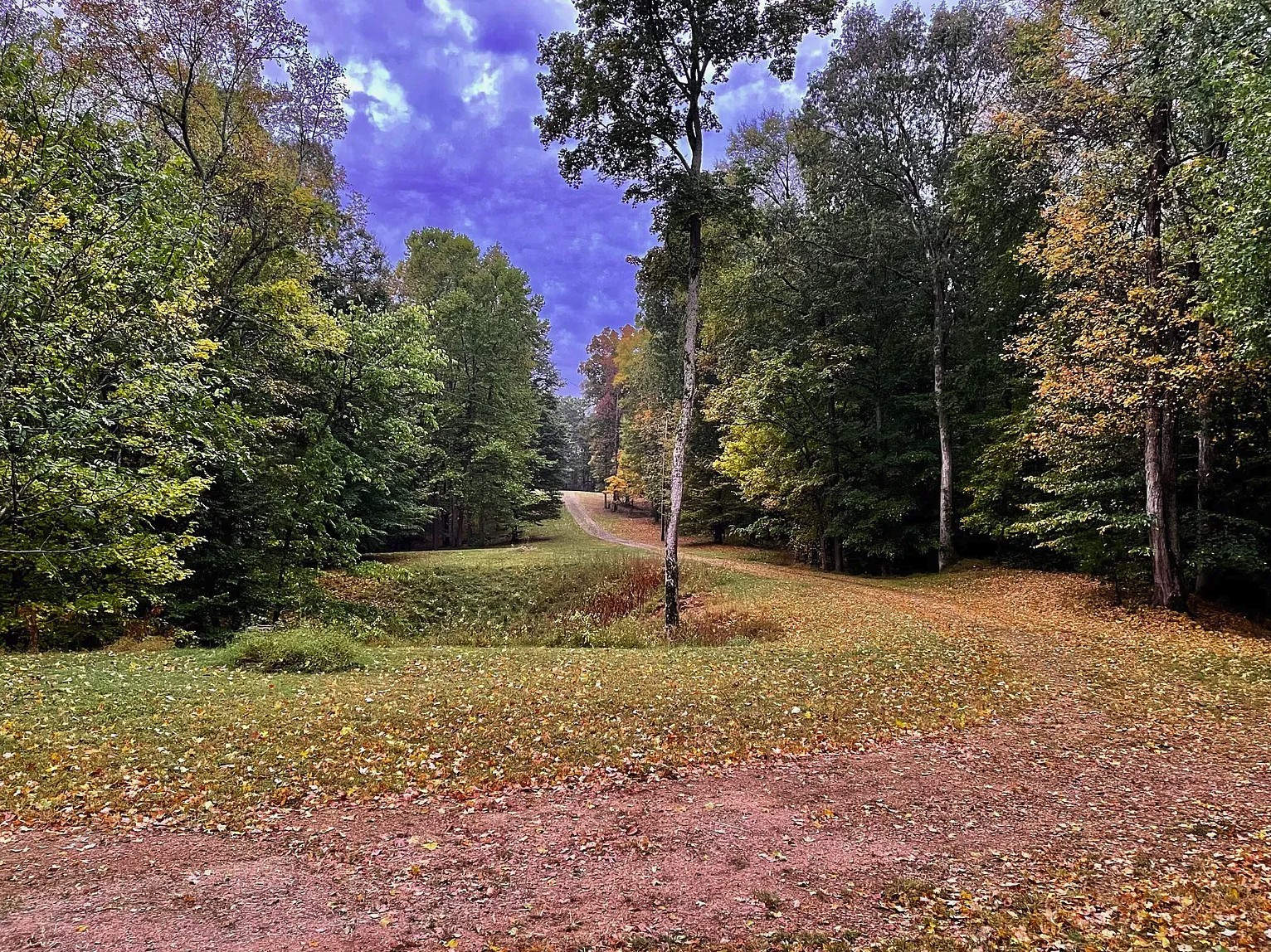 296 South Skunk Hollow Road Dover, TN 37058 - Photo 48 of 96