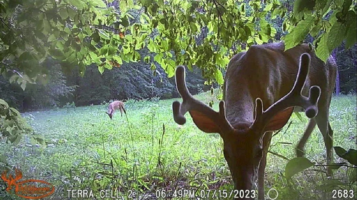 296 South Skunk Hollow Road Dover, TN 37058 - Photo 49 of 96