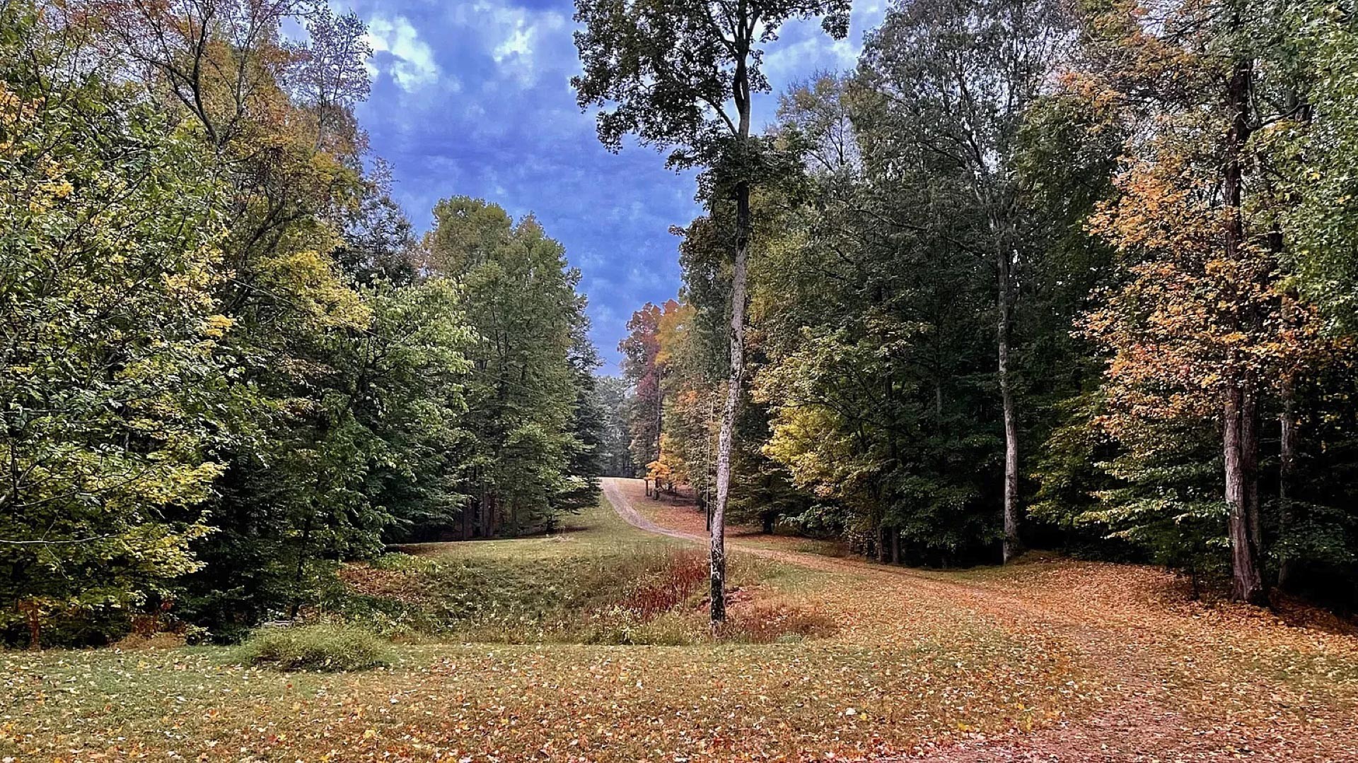 296 South Skunk Hollow Road Dover, TN 37058 - Photo 53 of 96