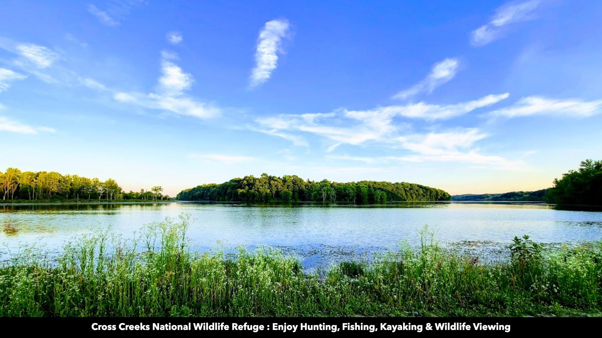 296 South Skunk Hollow Road Dover, TN 37058 - Photo 60 of 96