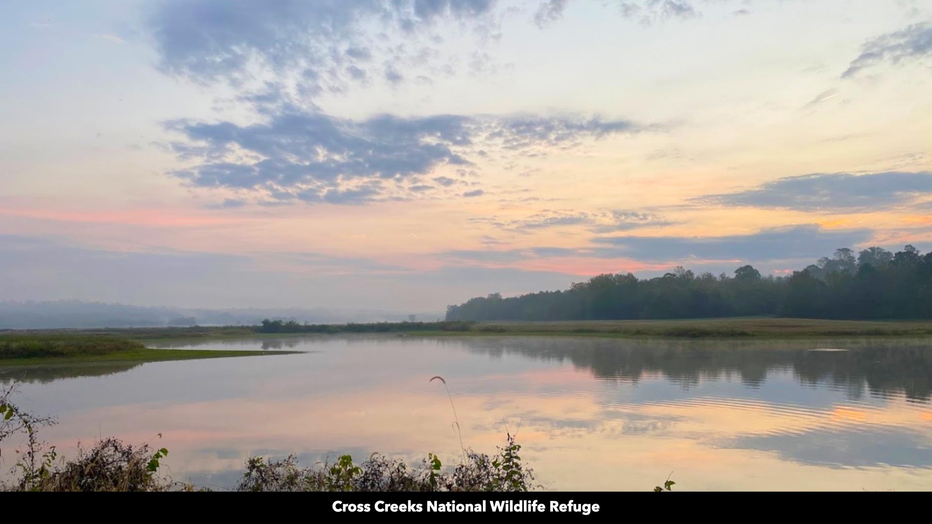 296 South Skunk Hollow Road Dover, TN 37058 - Photo 61 of 96