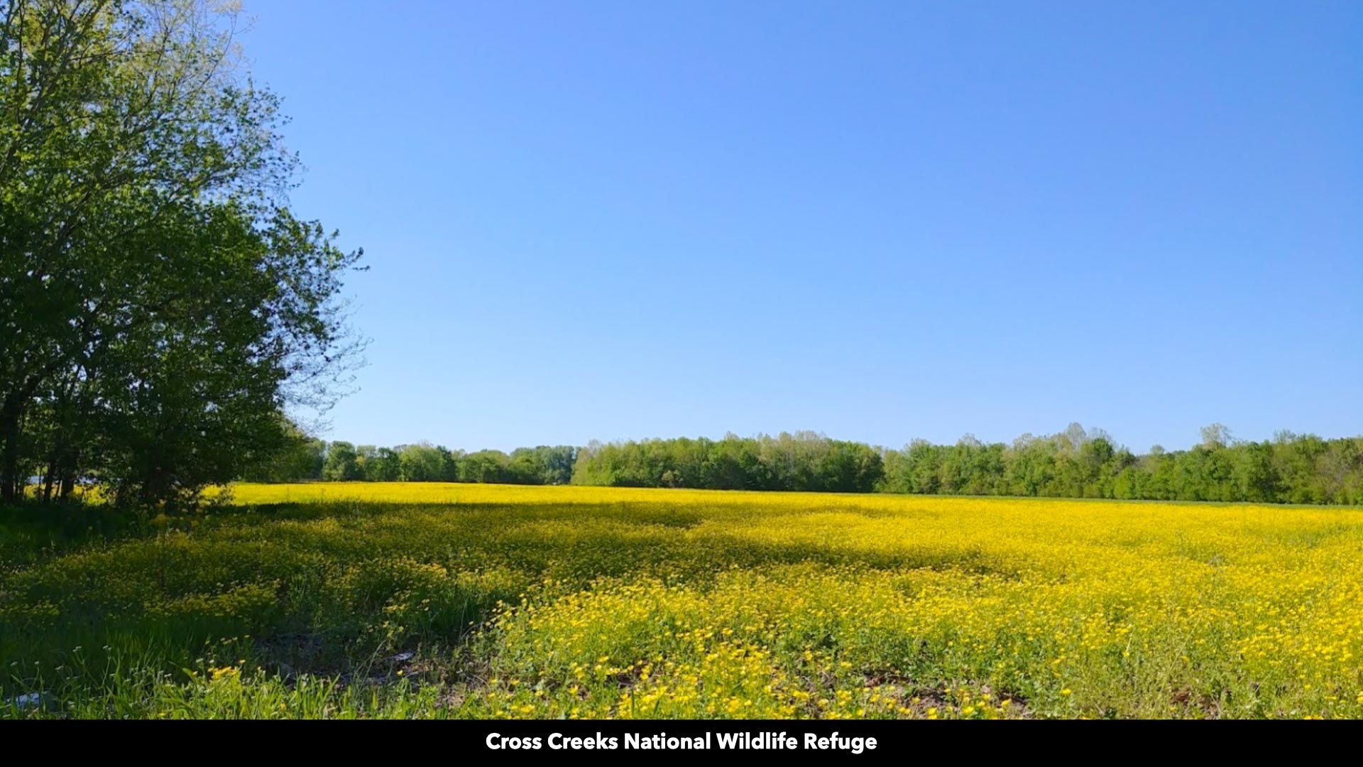 296 South Skunk Hollow Road Dover, TN 37058 - Photo 63 of 96