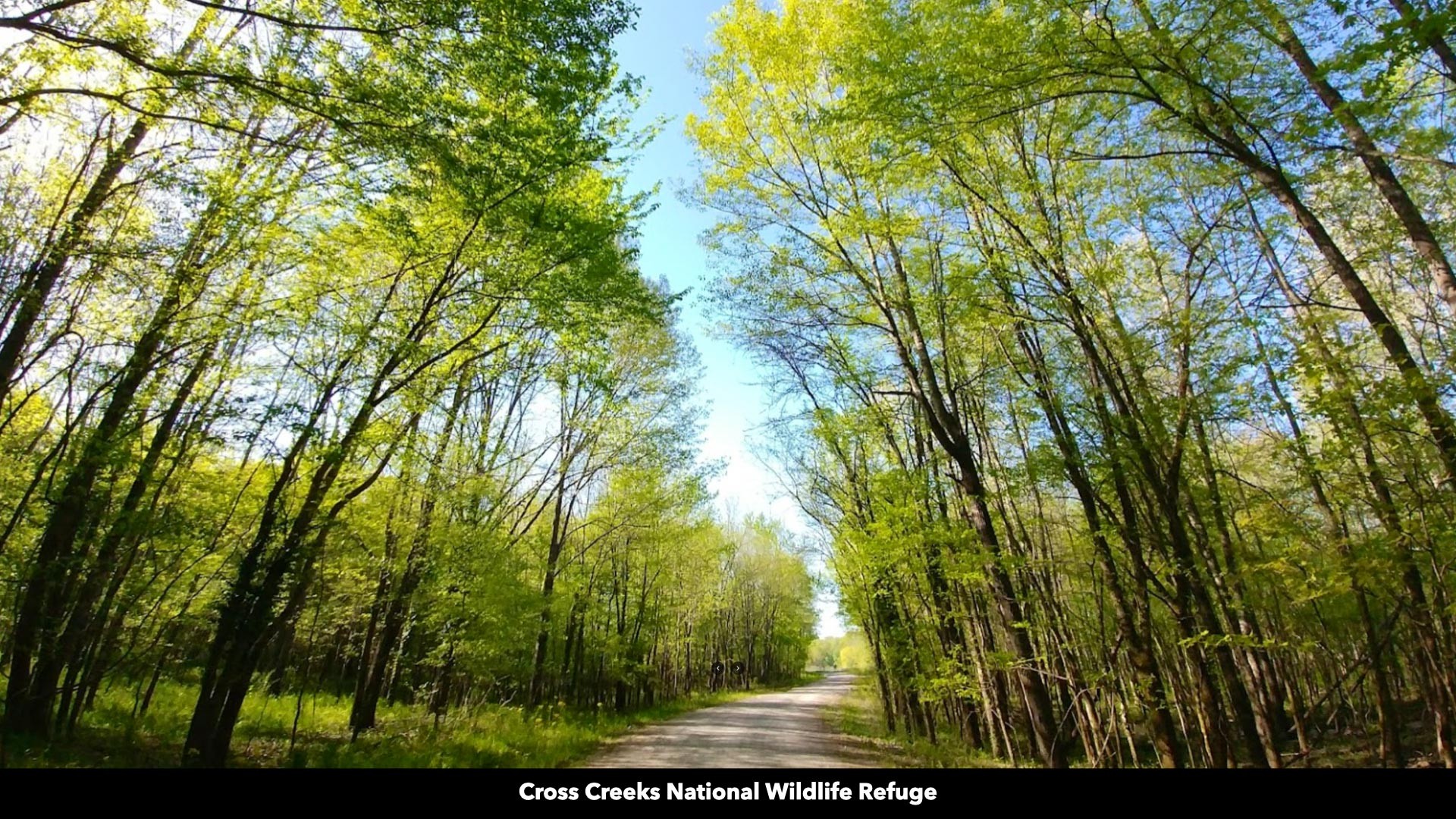 296 South Skunk Hollow Road Dover, TN 37058 - Photo 65 of 96