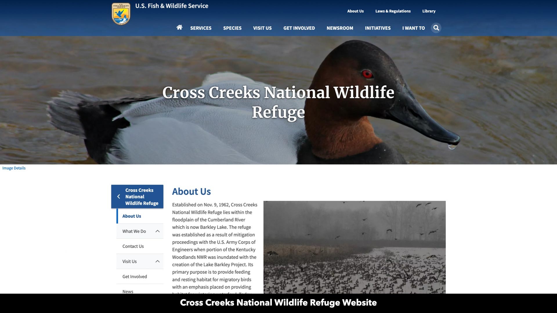 296 South Skunk Hollow Road Dover, TN 37058 - Photo 66 of 96