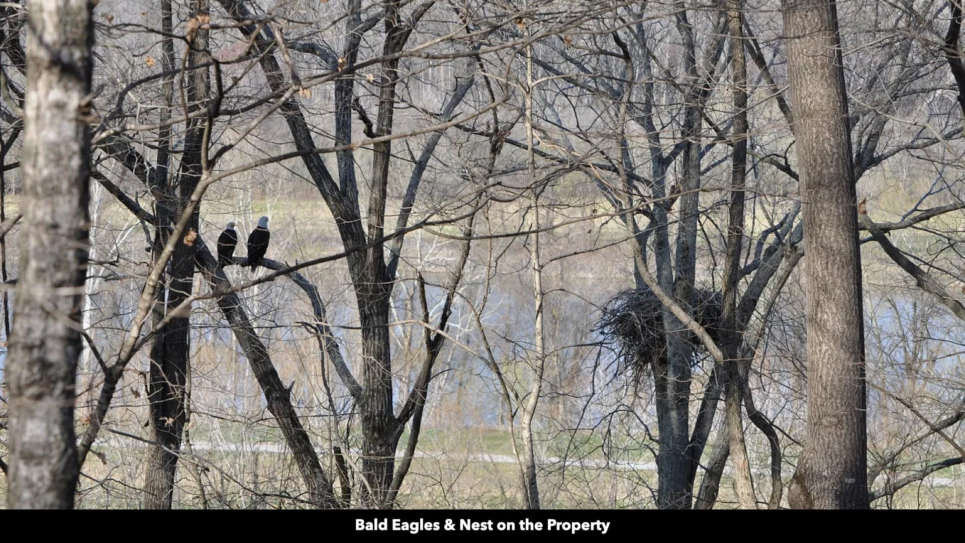 296 South Skunk Hollow Road Dover, TN 37058 - Photo 67 of 96
