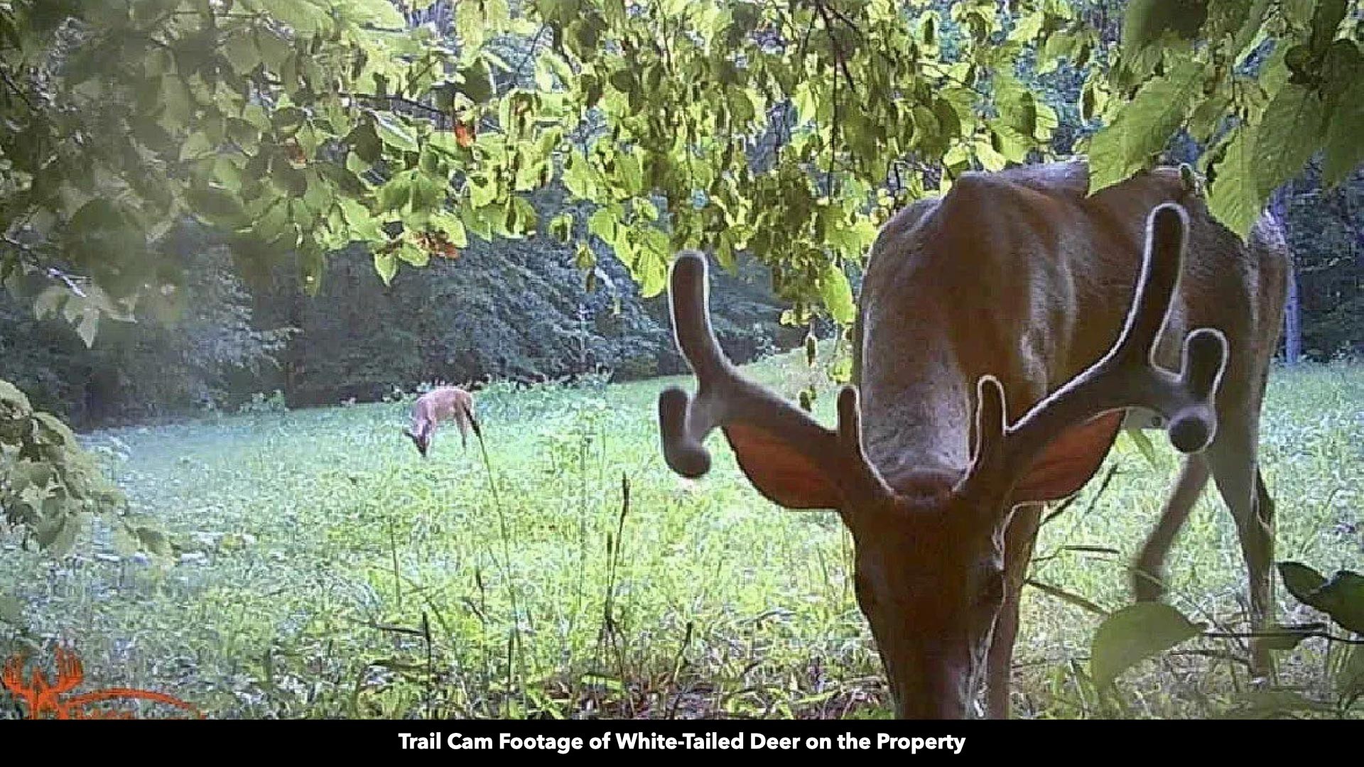 296 South Skunk Hollow Road Dover, TN 37058 - Photo 68 of 96