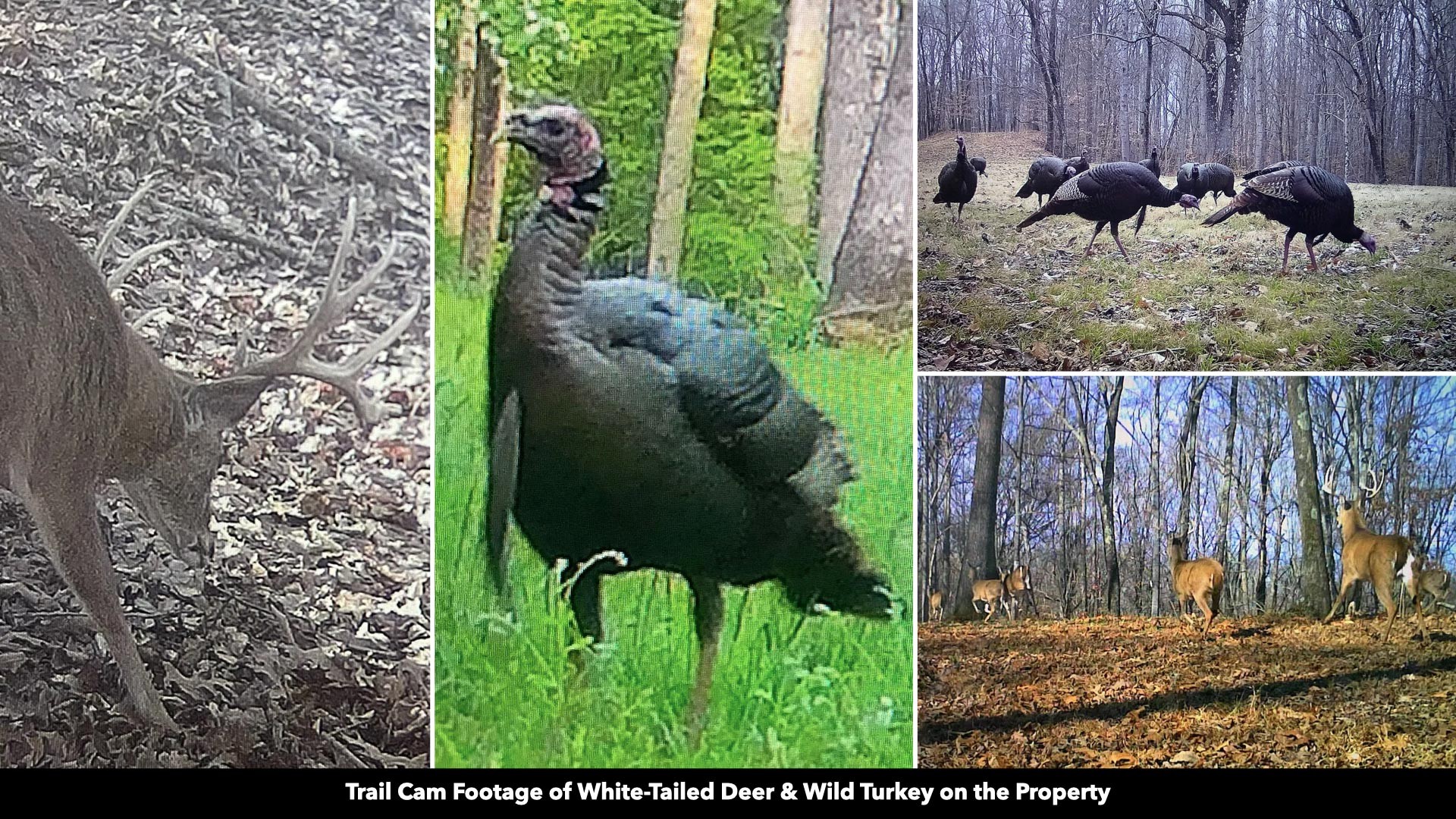 296 South Skunk Hollow Road Dover, TN 37058 - Photo 69 of 96