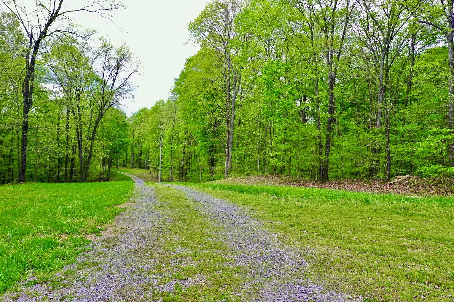 296 South Skunk Hollow Road Dover, TN 37058 - Photo 8 of 96