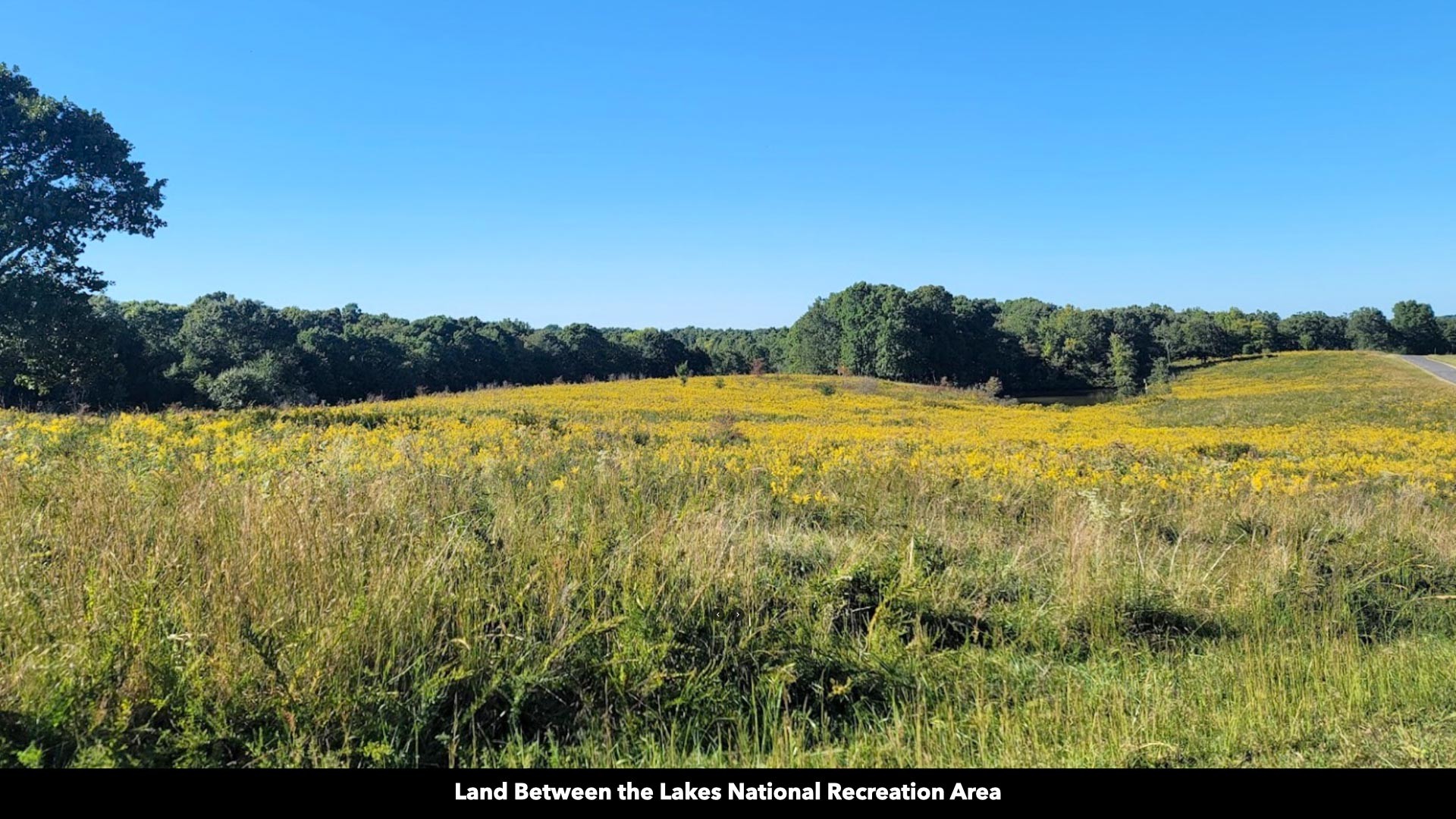 296 South Skunk Hollow Road Dover, TN 37058 - Photo 90 of 96