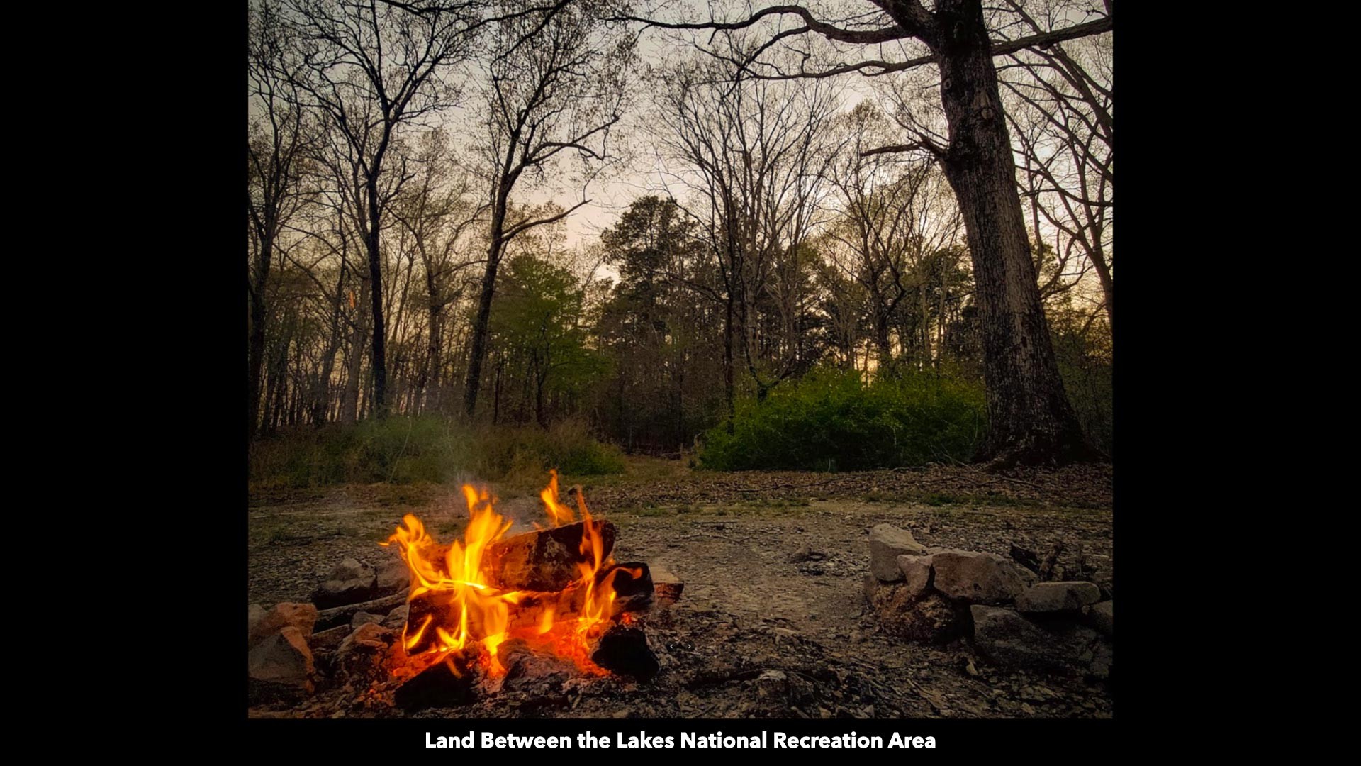 296 South Skunk Hollow Road Dover, TN 37058 - Photo 93 of 96