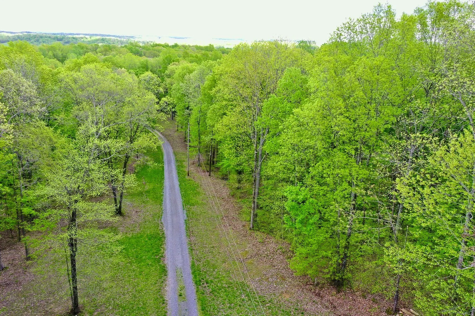 296 South Skunk Hollow Road Dover, TN 37058 - Photo 10 of 96