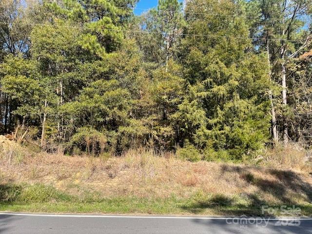 0 Deep Springs Road Peachland, NC 28133 - Photo 6 of 8 a view of a yard with large trees