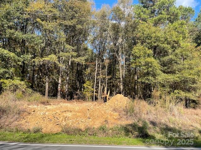 0 Deep Springs Road Peachland, NC 28133 - Photo 7 of 8 a view of snow covered with snow