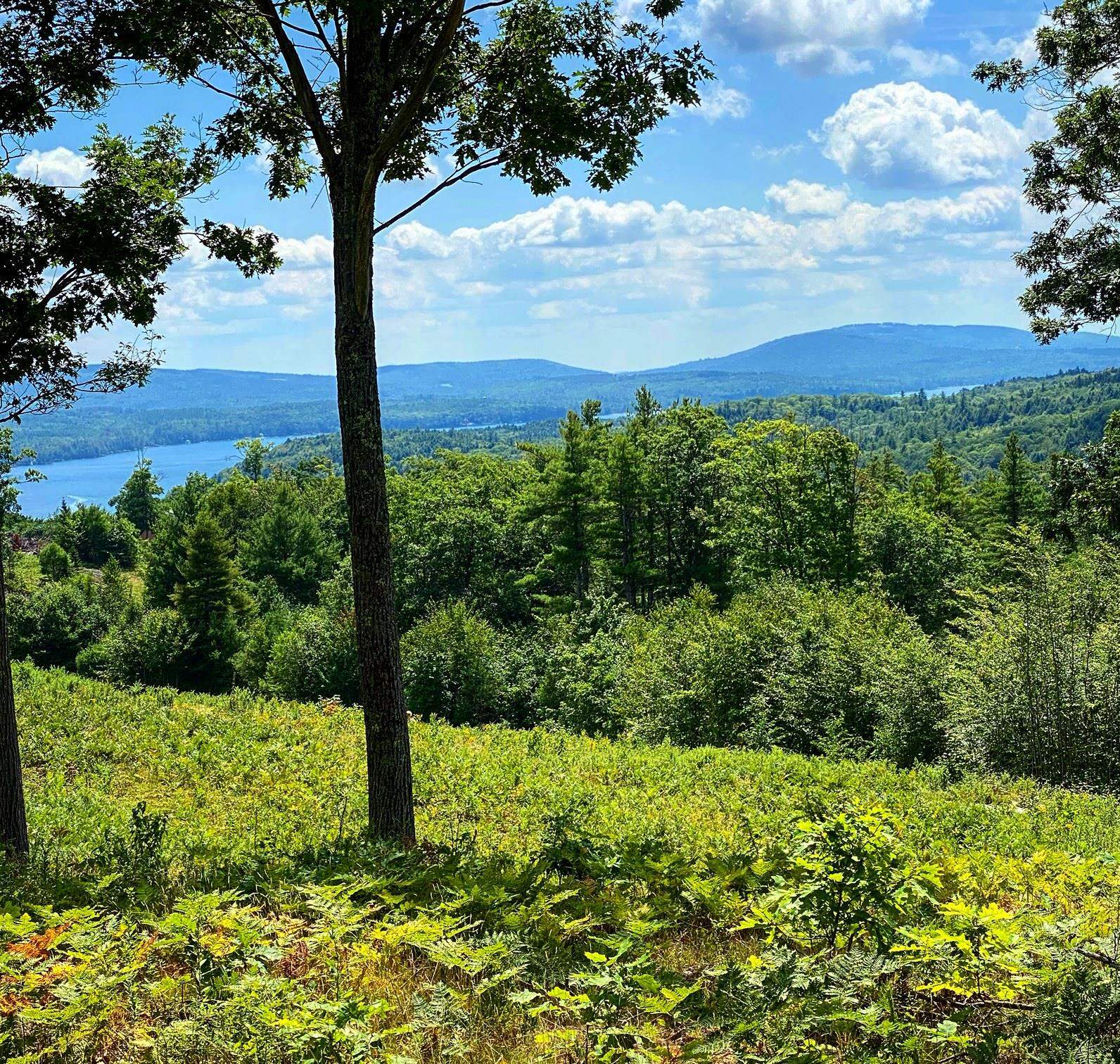 0 Granite Ridge Road, Unit 12 Sunapee, NH 03782 - Photo 3 of 9