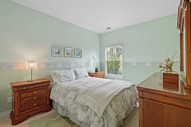 a view of backyard with plants and a large tree