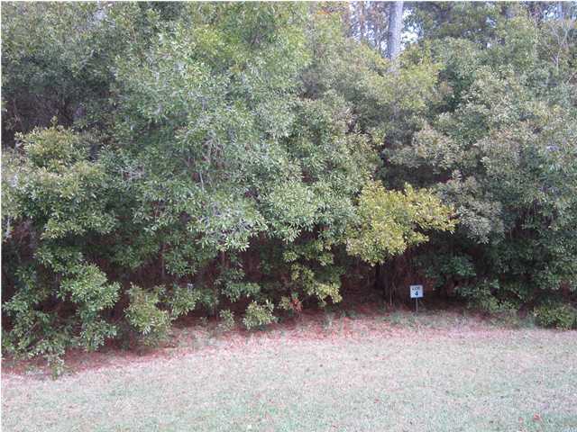 4 Tobacco Road Awendaw, SC 29429 - Photo 1 of 4 Primary Photo